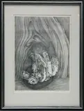 Elizabeth Saltonstall, Rocialle, Engraving