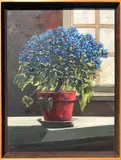 Roy Bailey, Potted Cineraria, Oil on Canvas