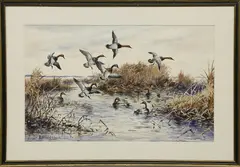 Roland Clark, Canvasback Ducks Landing in the Marsh, Watercolor on Paper