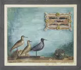 Ruth Haviland Sutton, Objects of the Shore and Sea