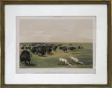 George Catlin, Hand colored, Lithograph
