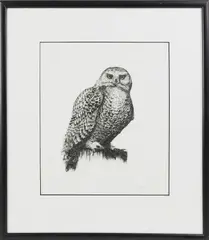 Owl by David Lazarus, Etching, offered Aug 2018