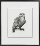 David Lazarus, Owl, Etching