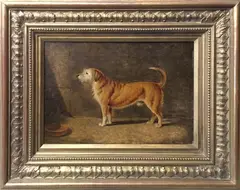 Portrait of a Dog by T. Temple, Oil on Canvas, offered Jul 2017