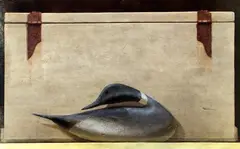 Joseph Cibula, Pintail, mixed Media on Artist’s Board