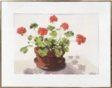 Geraniums by Joan McPherson, Watercolor on Paper, offered Oct 2016
