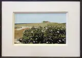 Sea Roses by John Austin, Tempera on Board, offered Sep 2015