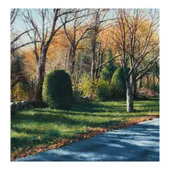 Scott Prior, Late Afternoon Sunlight, oil on panel