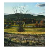 Scott Prior, Elm Tree, oil on Masonite