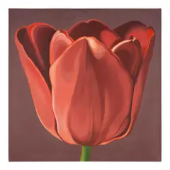 Lowell Nesbitt, Red Tulip, oil on canvas