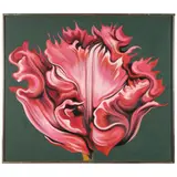 Lowell Nesbitt, Red Parrot Tulip on Green