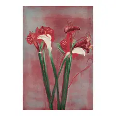 Michael Mazur, Amaryllis/Calla II, monoprint with etching, aquatint and monotype on paper