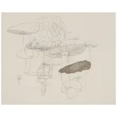 Roxy Paine, Study for Distillation, watercolor on paper