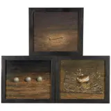 Thomas Woodruff, Three works from the Science Fair series;, oil on canvas