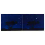 Richard Bosman, Nightscape