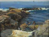 Michele Federico, Scogli