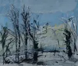 Giorgio Celiberti, Impressioni a Bruxelles