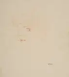 Filippo de Pisis, Volto di ragazzo, in basso a destra: timbro "de Pisis" and numero a pencil "142".