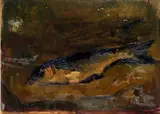 Orfeo Tamburi, Pesce