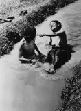 Fosco Maraini, Bagno estivo nella canaletta di irrigazione nella campagna di Gyantse, Tibet, agosto 1937, Fotografia in bianco e nero