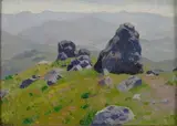 Alberto Zardo, Rocce