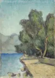 Fiorenzo Tomea, Lago di Iseo