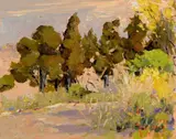 Aldo Mazzi, Paesaggio