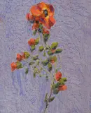 Aldo Mazzi, Fiori