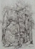 Alberto Rosati, Bosco