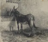 Ruggero Focardi, Asinello