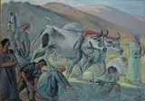 Giuseppe Piombanti Ammannati, L'aratura