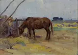 Filippo Anivitti, Cavallo al pascolo
