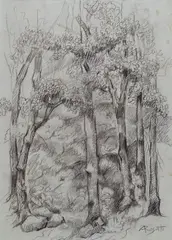 Bosco by Alberto Rosati, offered Jul 2014