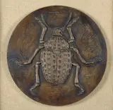 Scarabeo by Luciano Minguzzi, offered Jun 2014