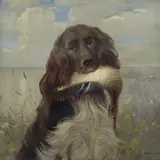 Millo Bortoluzzi, Cane