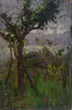 Antonio Zoppi, Alberi