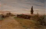 Adolfo Tommasi, Campagna