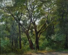 Alberi by Federico Rossano, offered Feb 2014