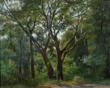 Federico Rossano, Alberi