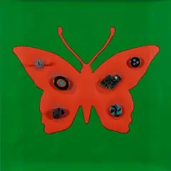 Butterfly effect by Renzo Nucara, offered Feb 2014