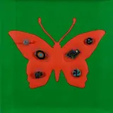Renzo Nucara, Butterfly effect