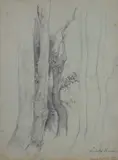 Alberi by a Enrico Ludolf Verworner, 1900, offered Feb 2014