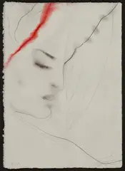 Profilo by Omar Galliani, offered Dec 2013