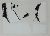 Alberto Burri, Combustione