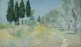 Giuseppe Magni, Uliveta
