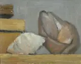 Mario Marcucci, Conchiglie