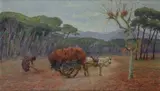 Oreste Paltrinieri, Foglie morte
