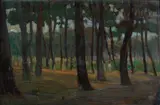 Luigi Gioli, Pineta