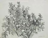 Renato Guttuso, Albero di Arancio