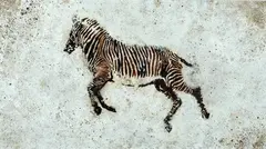 Zebra by Pino Pascali, 1964, Sul verso: dichiarazione di autenticità di Sandro Lodolo. Certificato Archivio Pino Pascali, offered Nov 2013